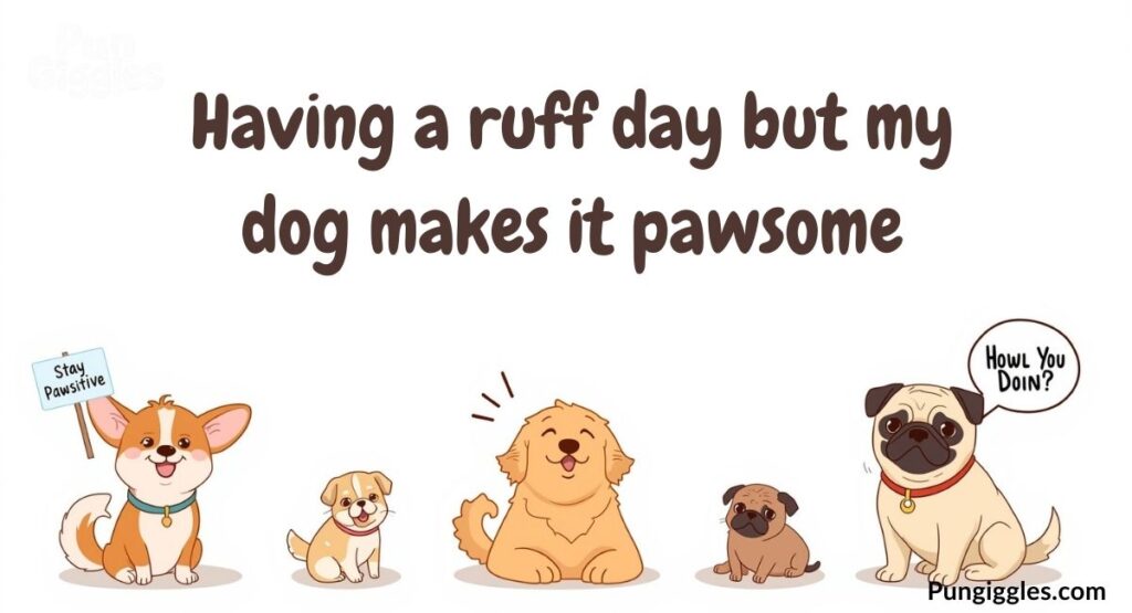 Funny Dog Puns Captions