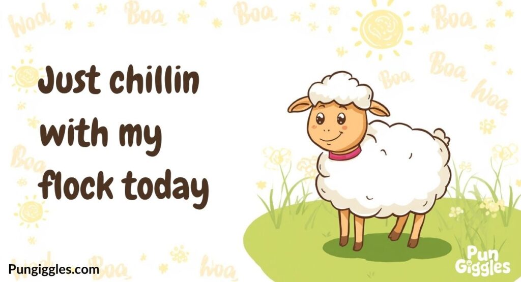Short Sheep Puns for Captions & Instagram