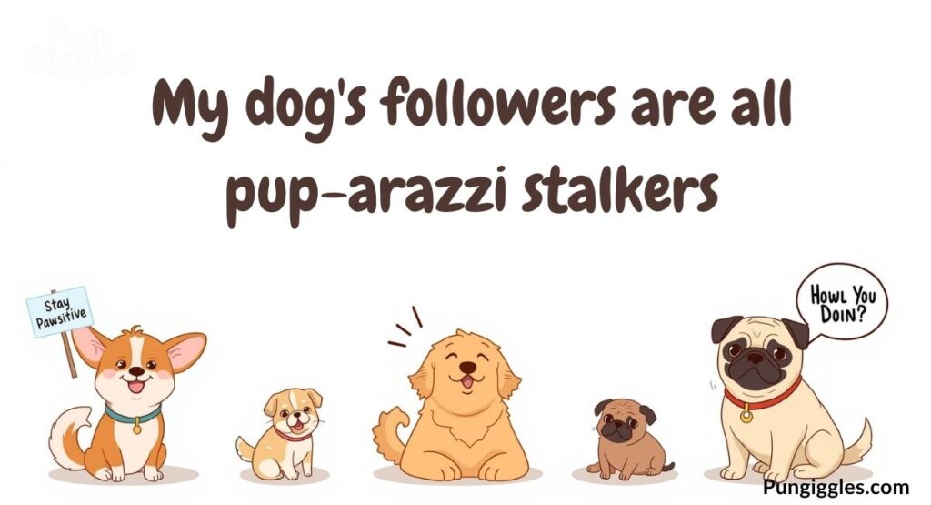 Witty Dog Puns for Social Media